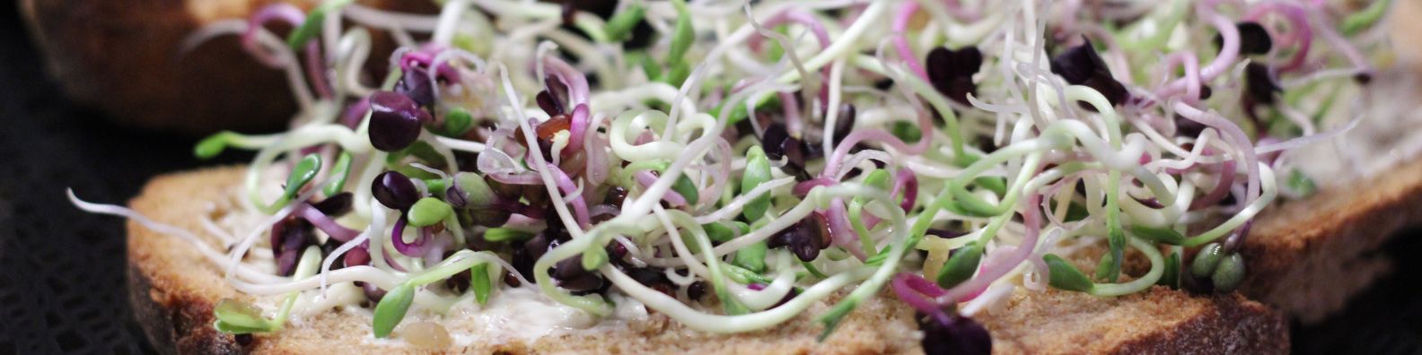 bunte Sprossen auf einem Brot