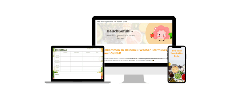 Mockup der Kursübersicht