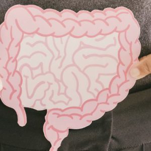 Banner Darm allgemein Frau hält eine Zeichnung des darms vor ihrem Bauch