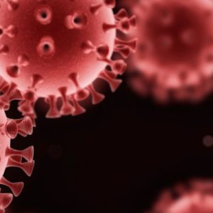 Banner Zellgesundheit gesunde Zellen